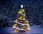 2018.12.21 - Radosnych i spokojnych, pełnych ciepła i nadziei Świąt Bożego Narodzenia oraz wszelkiej pomyślności, sukcesów, cierpliwości i wytrwałości w realizacji planów w nadchodzącym 2019 roku